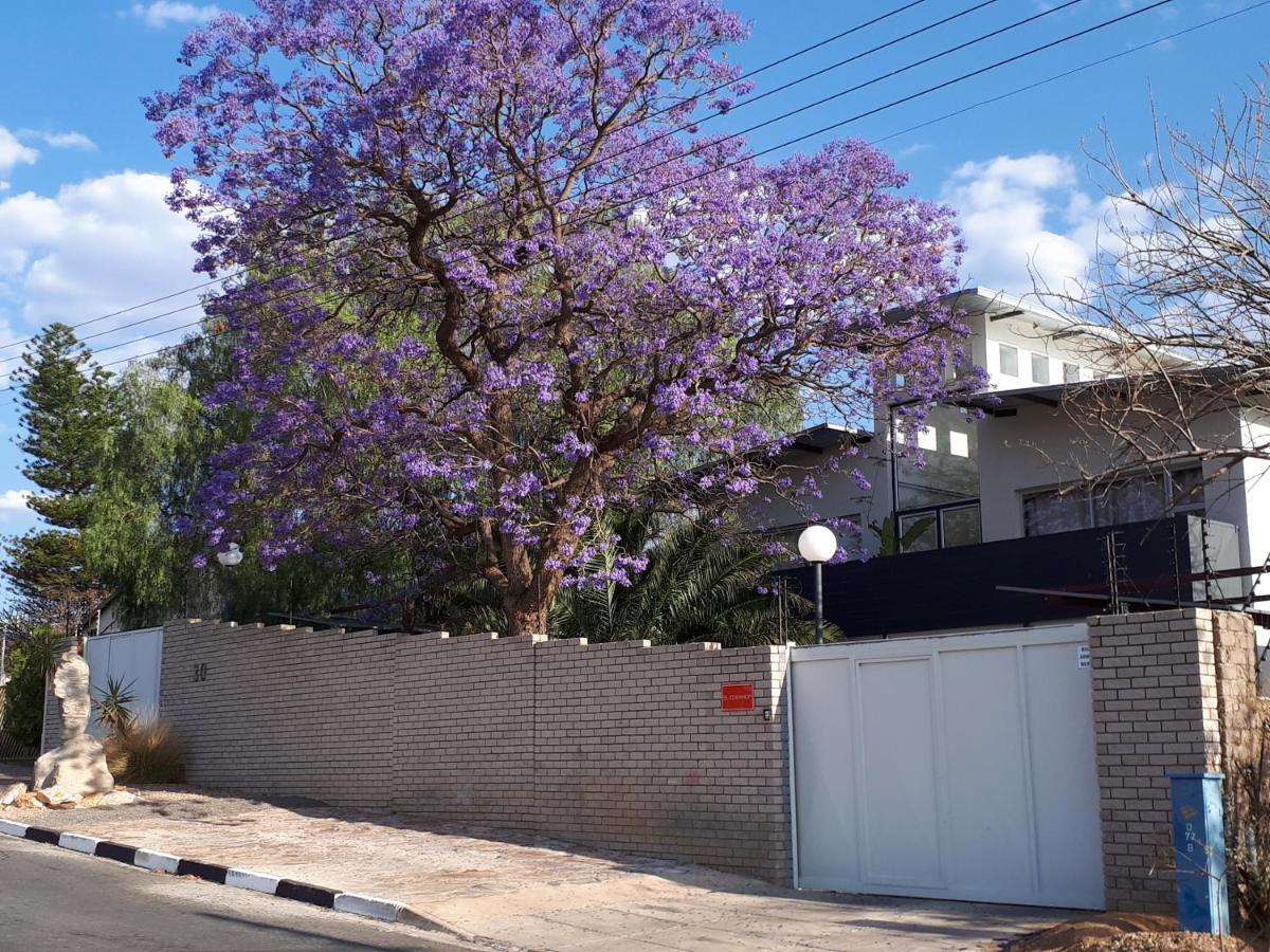 Suiderhof Self-Catering Hotel Windhoek Exterior foto